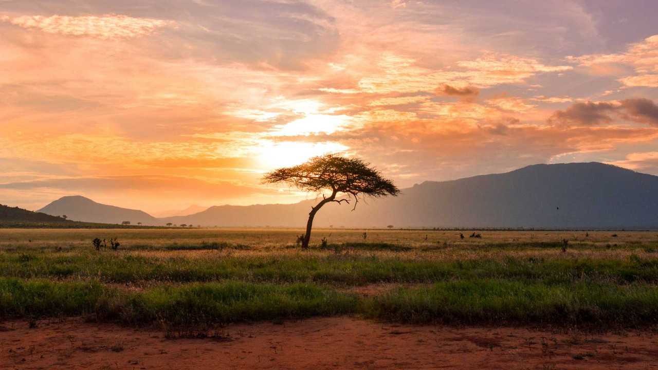 Rivermate | Landscape of República Centroafricana