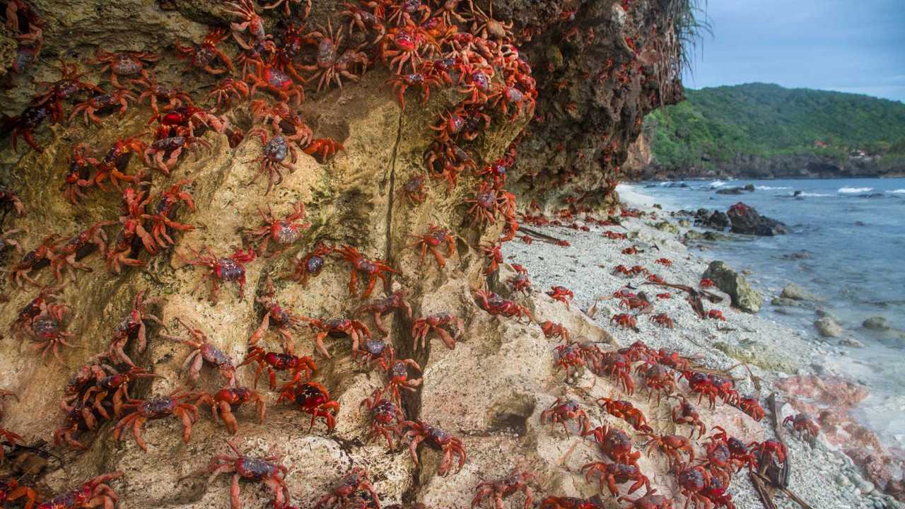 Rivermate | Landscape of Christmas Island