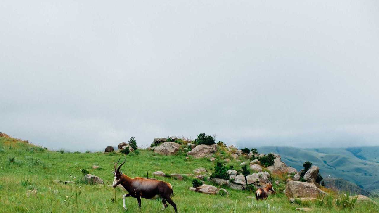 Rivermate | Landscape of Eswatini