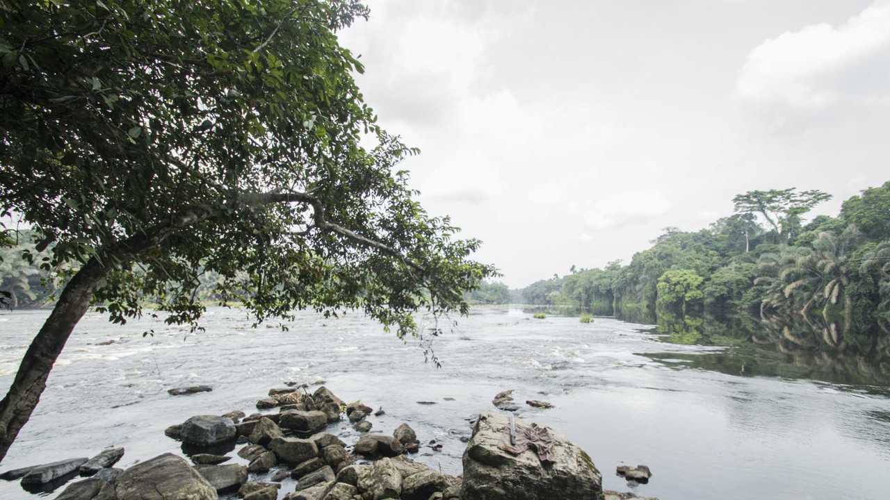 Rivermate | Landscape of Gabon