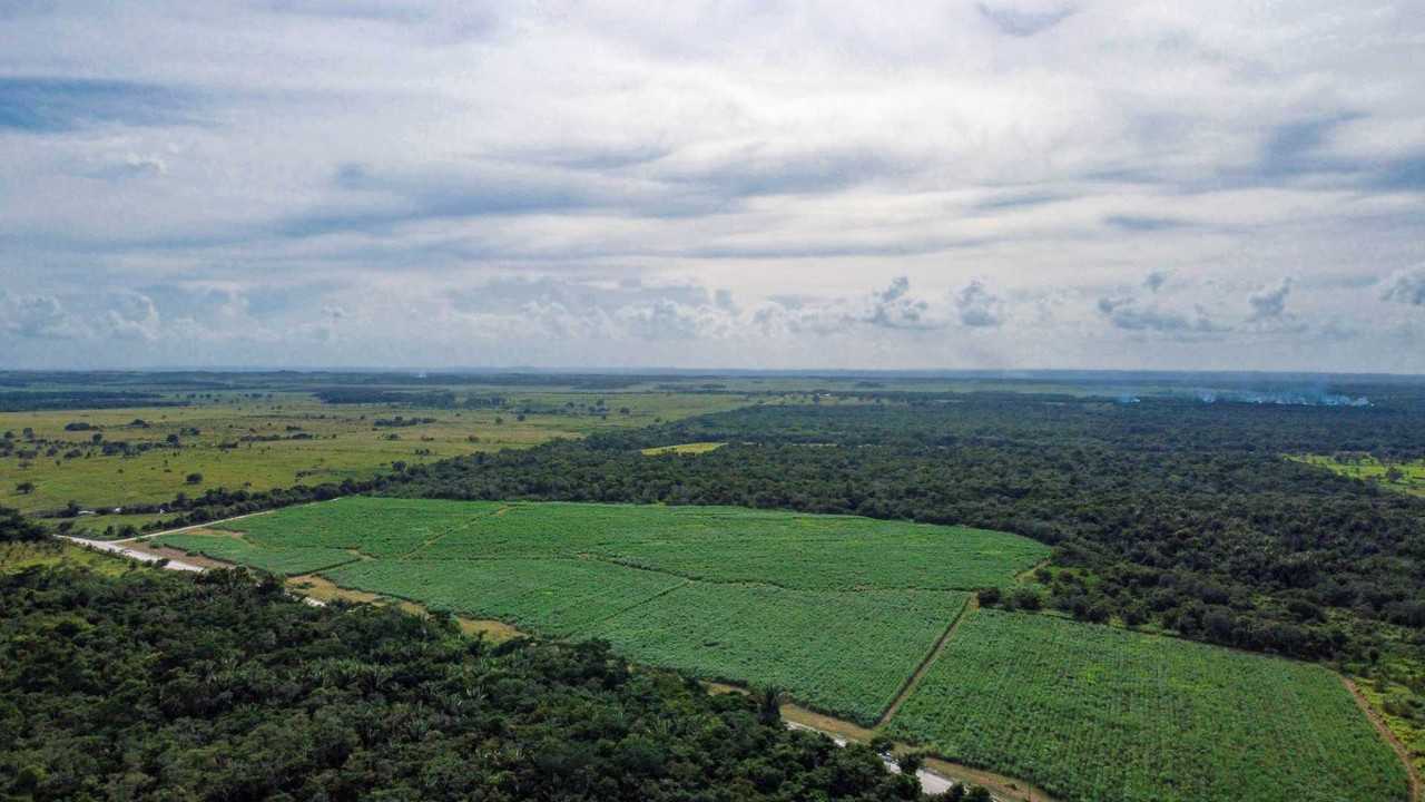 Rivermate | Landscape of Guinea-Bissau