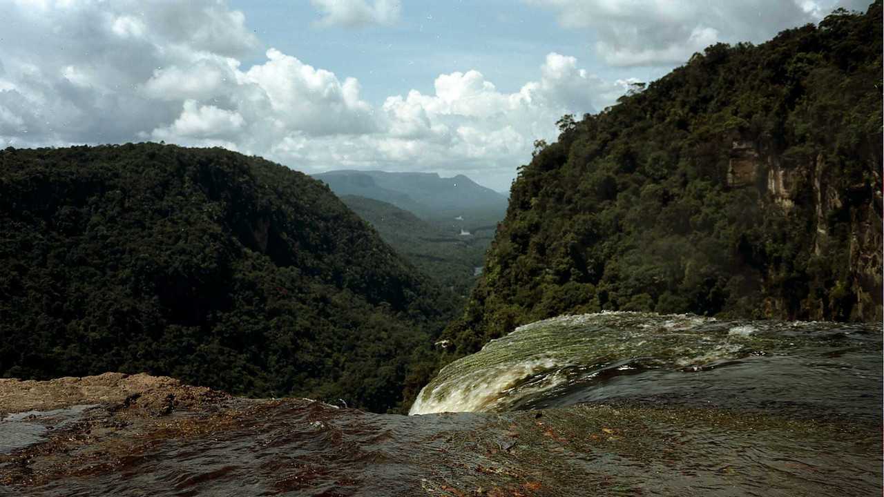 Rivermate | Landscape of Guyane