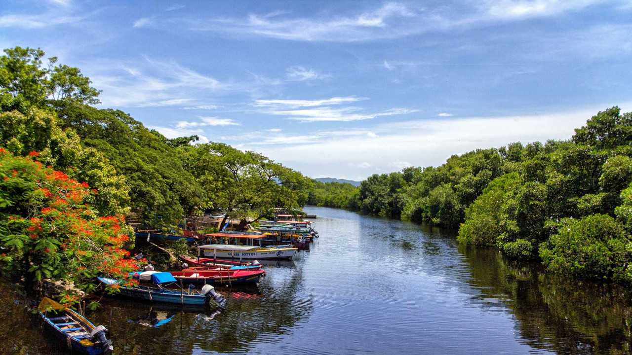 Rivermate | Landscape of Jamaica