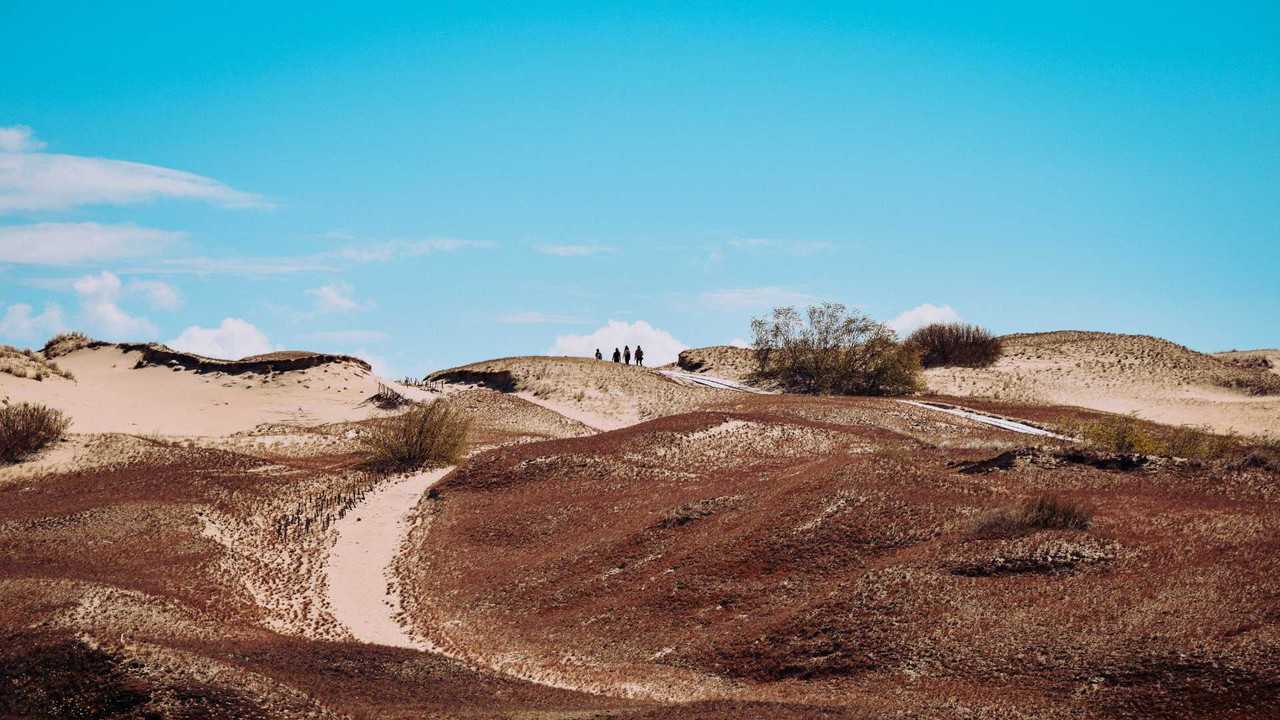 Rivermate | Landscape of Lituanie