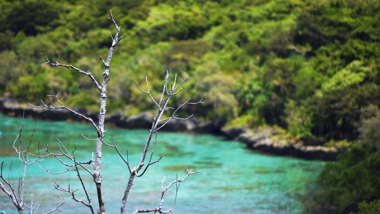 Rivermate | Landscape of Nueva Caledonia