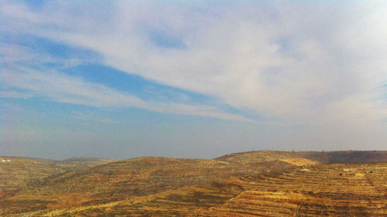 Rivermate | Landscape of Palestina