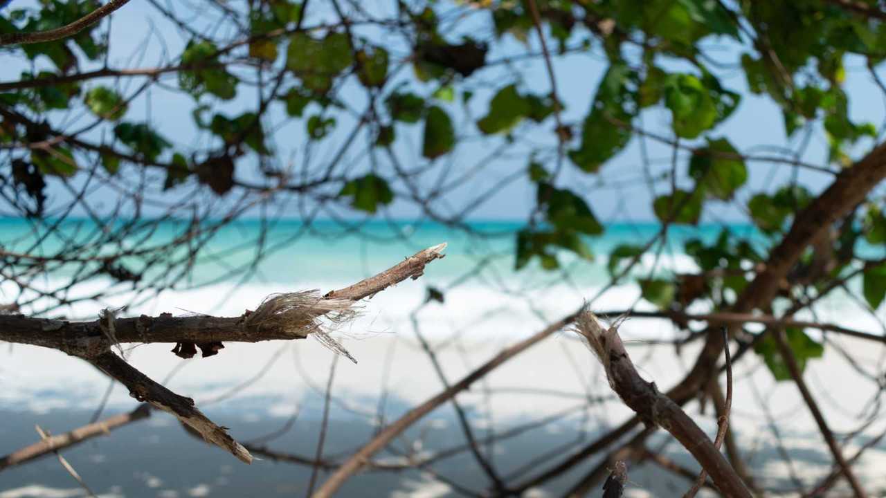 Rivermate | Landscape of Islas Salomón