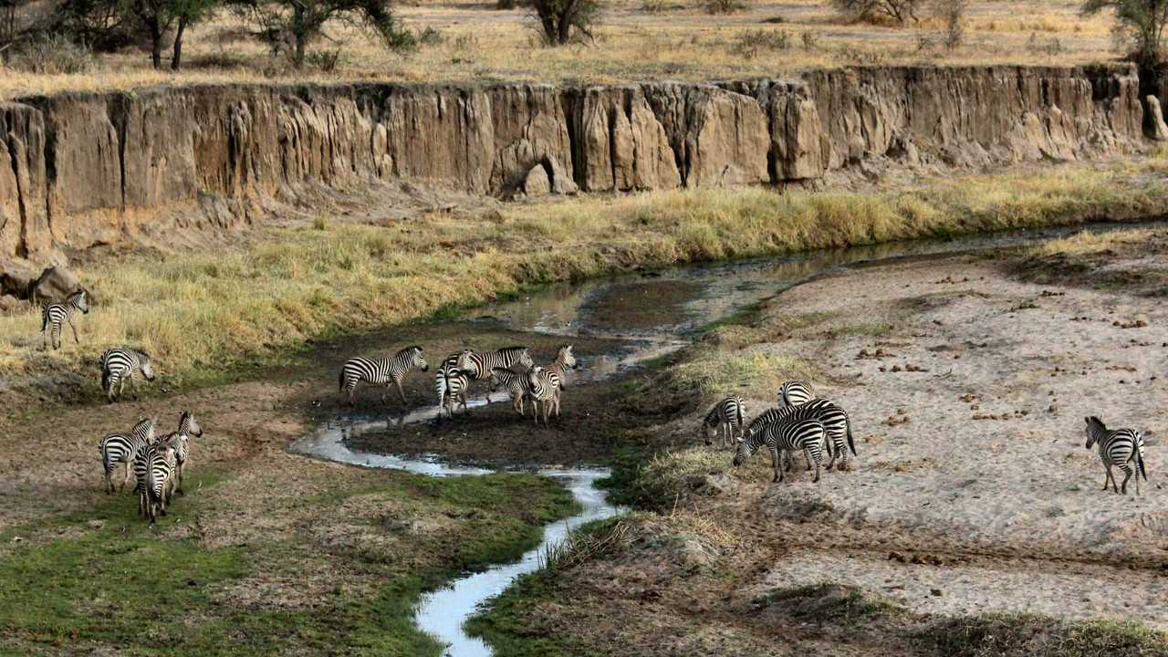 Rivermate | Landscape of Tanzanie