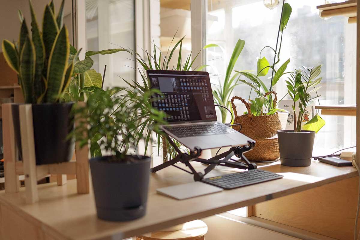 {Rivermate | The Complete Guide: How to Create the Best Ergonomic Home Office