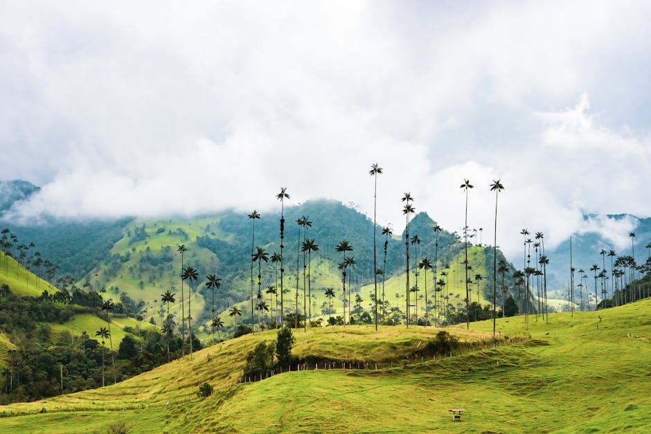 Colombia featured