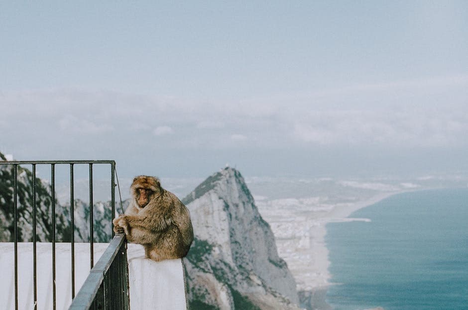 Gibraltar featured