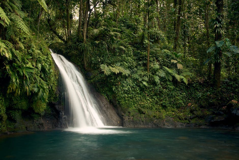 Guadeloupe featured