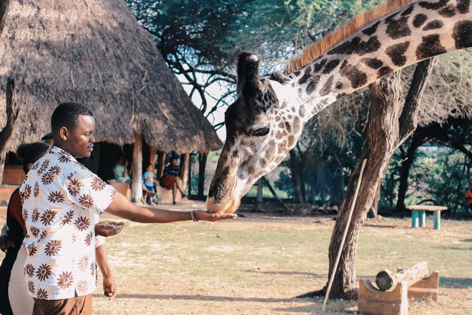 Kenia featured
