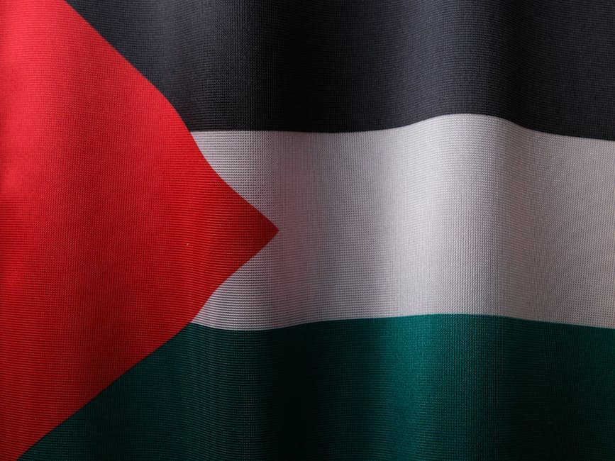 Palestine featured