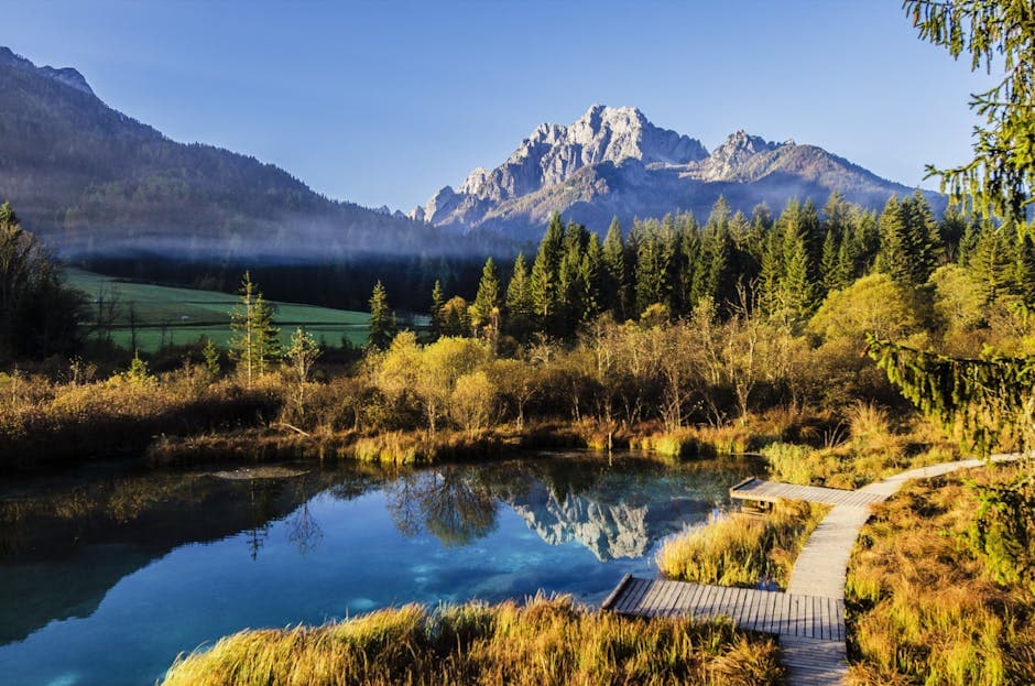 Slovenië featured