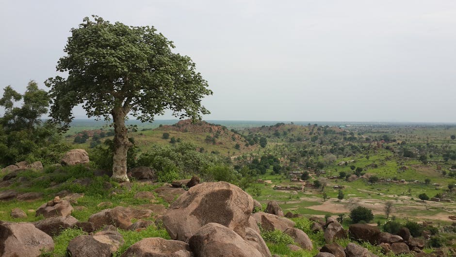 Sudan featured