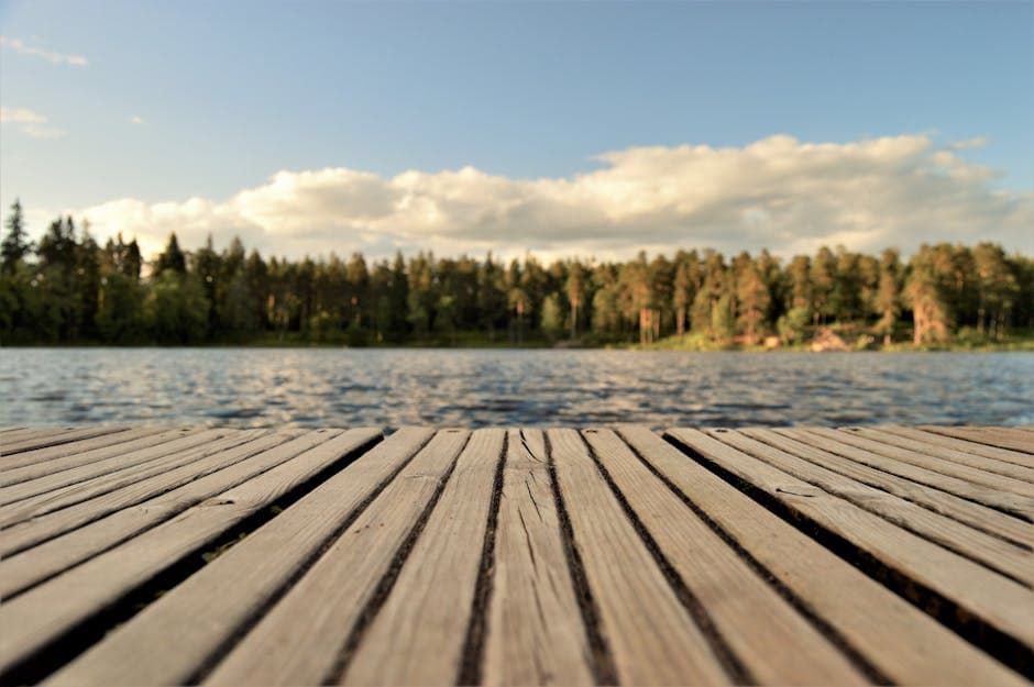 Suecia featured
