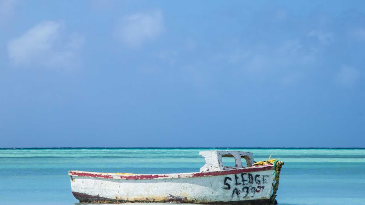 Aruba hiring guide