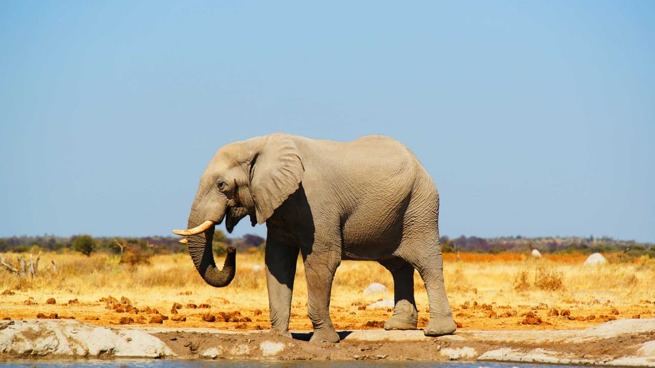 Botswana hiring guide