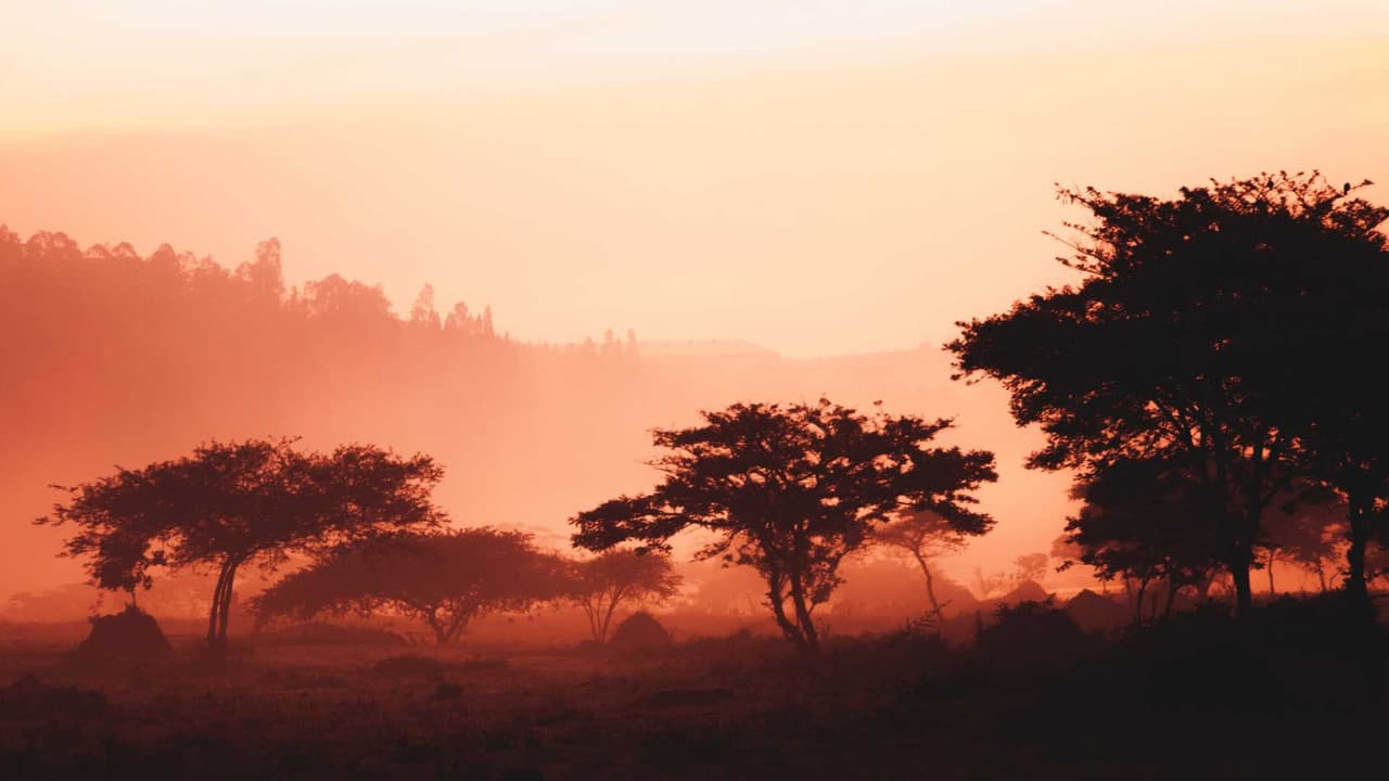Ruanda rights overview