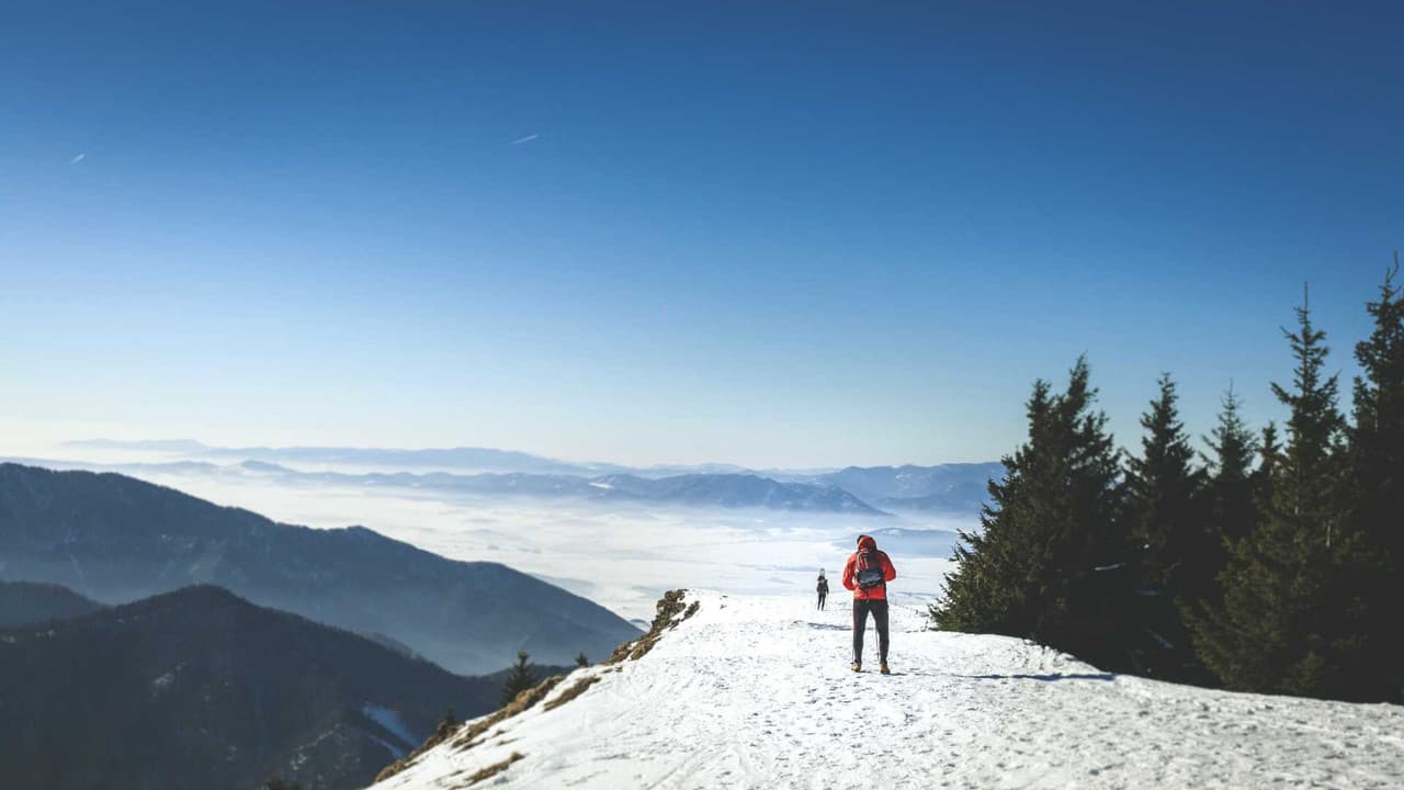 Slovakia benefits overview