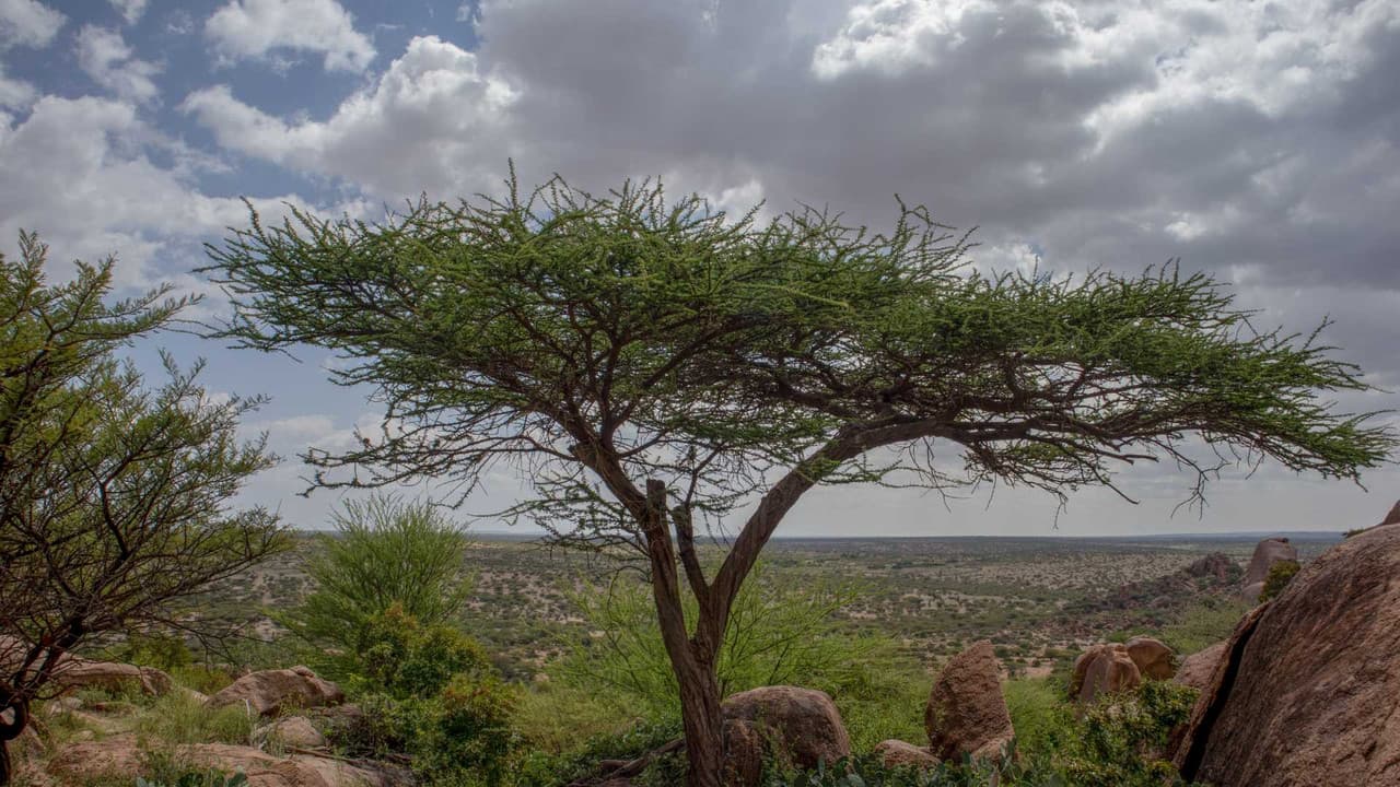 Somalia taxes overview