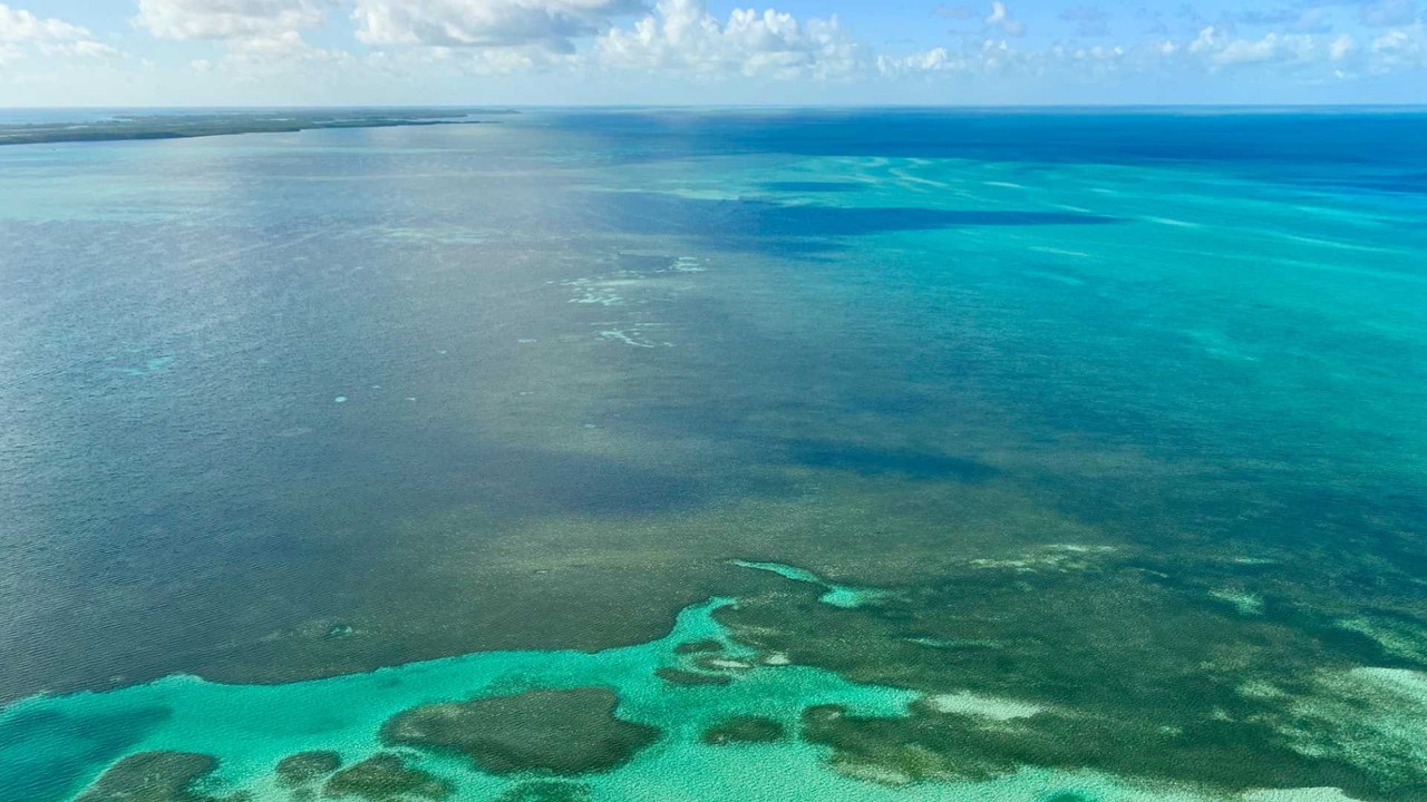 Bahamas employer of record services - Professional landscape and business environment