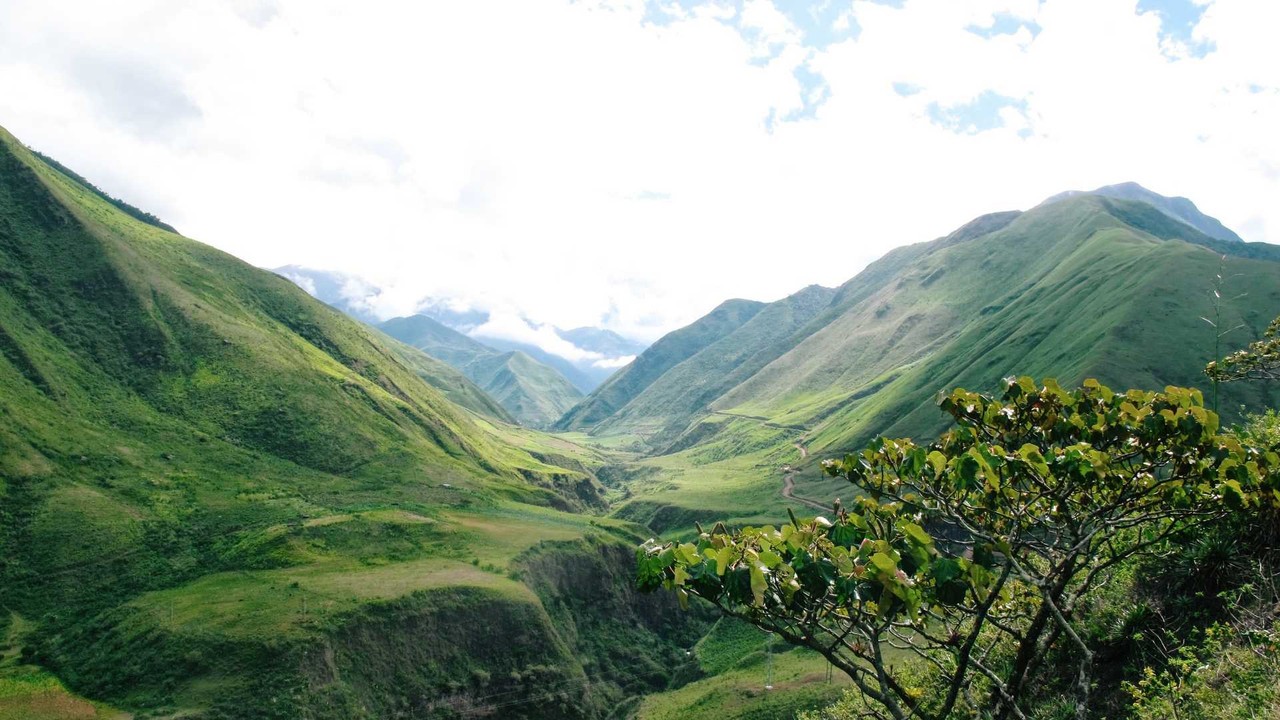Ecuador dispute resolution - Professional landscape and employment guidance