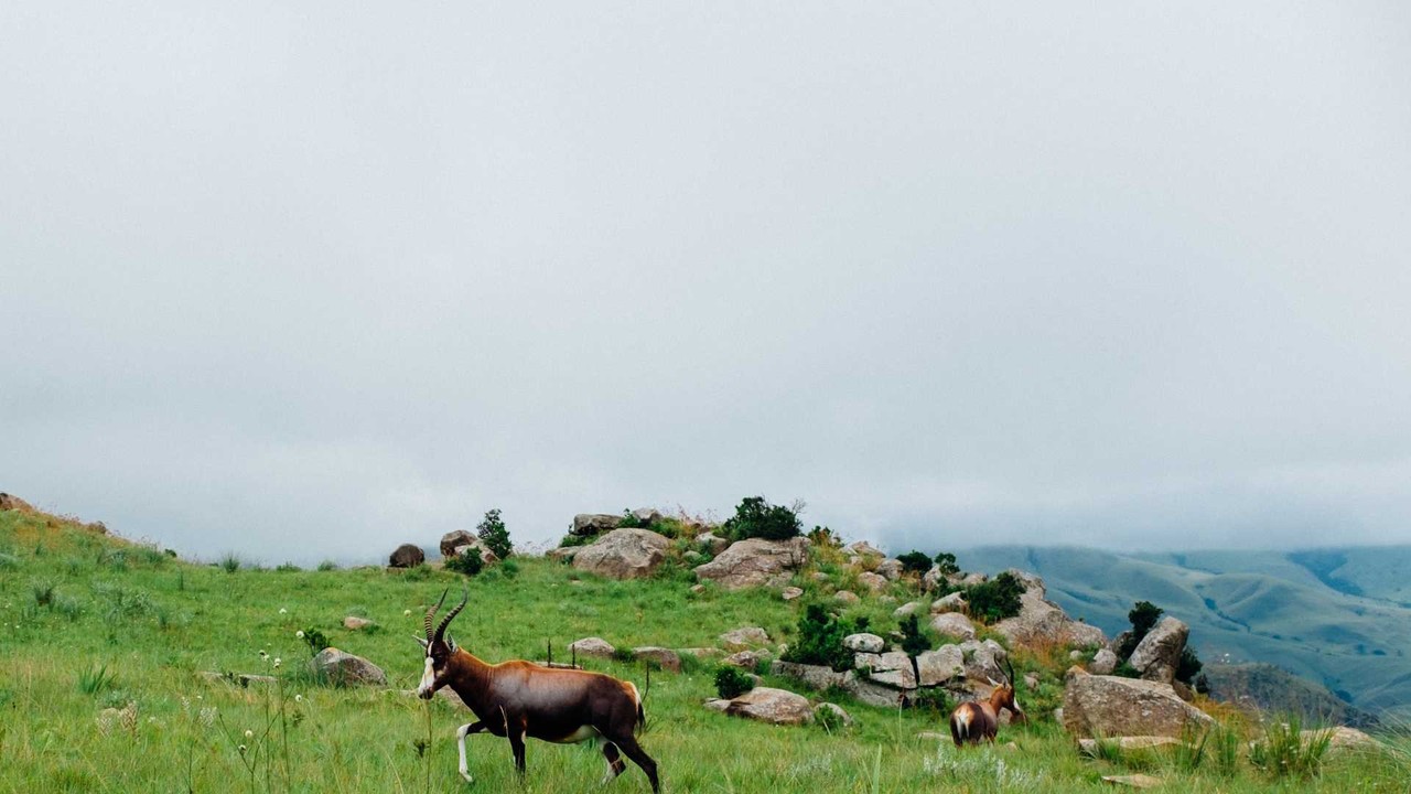 Eswatini salary regulations - Professional landscape and employment guidance