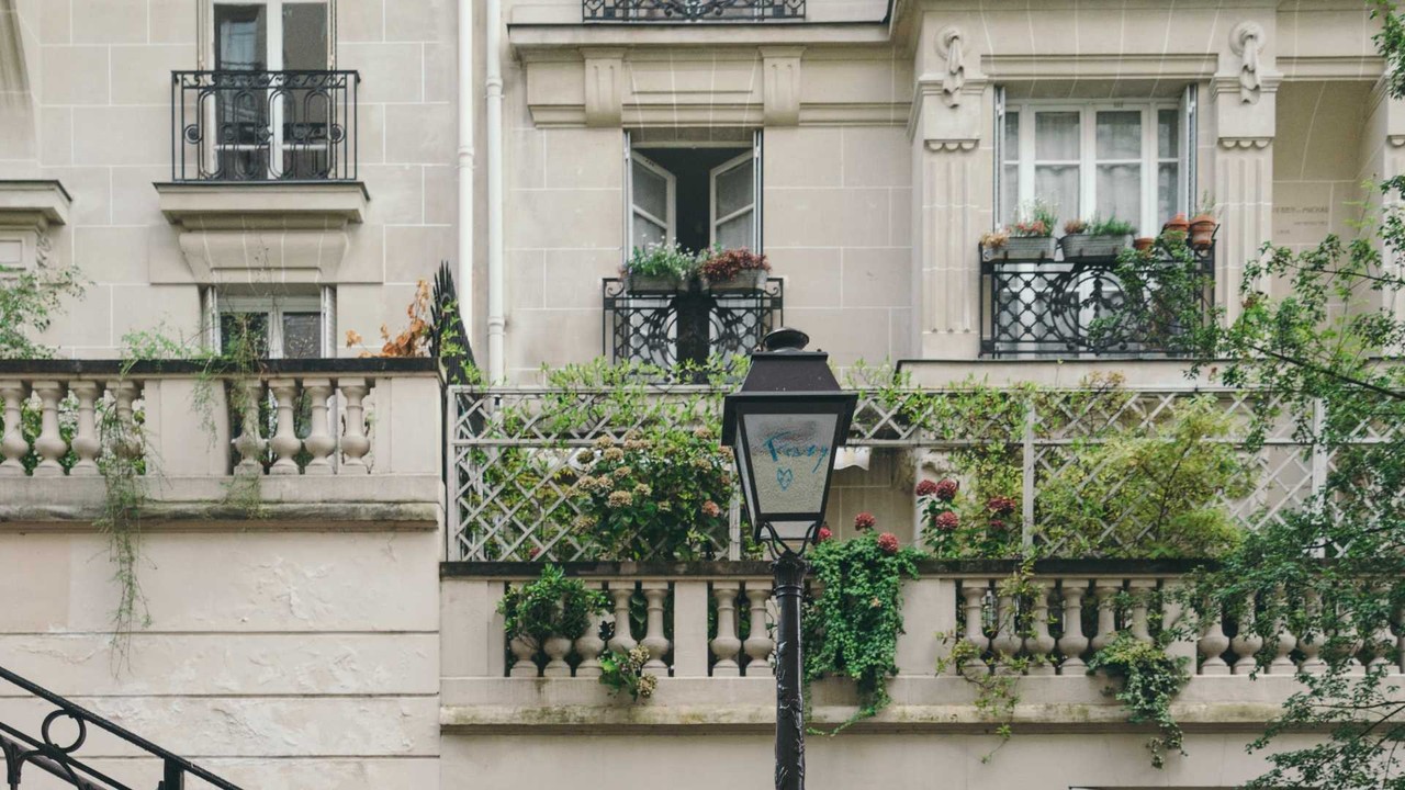 French Guiana employment agreements - Professional landscape and employment guidance
