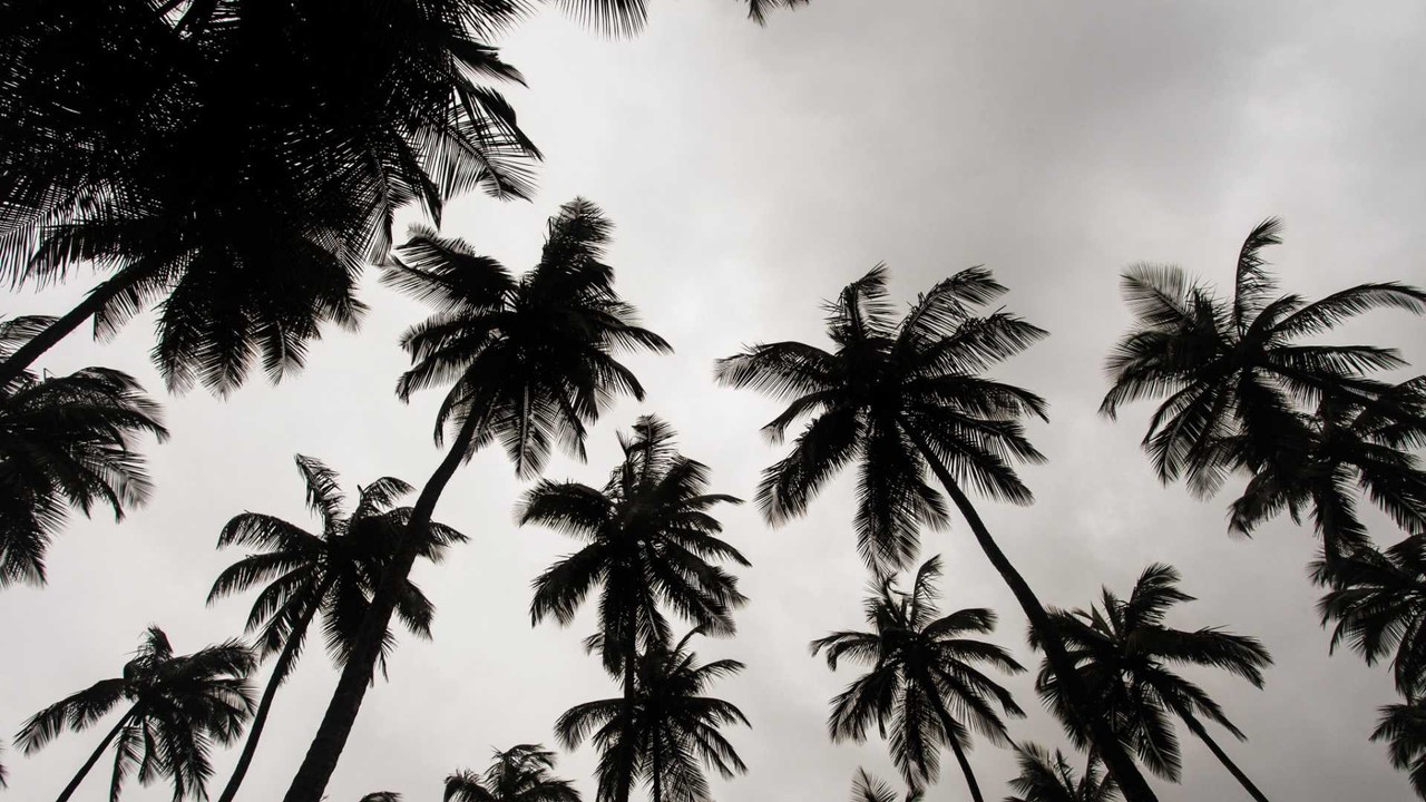 Liberia remote work regulations - Professional landscape and employment guidance