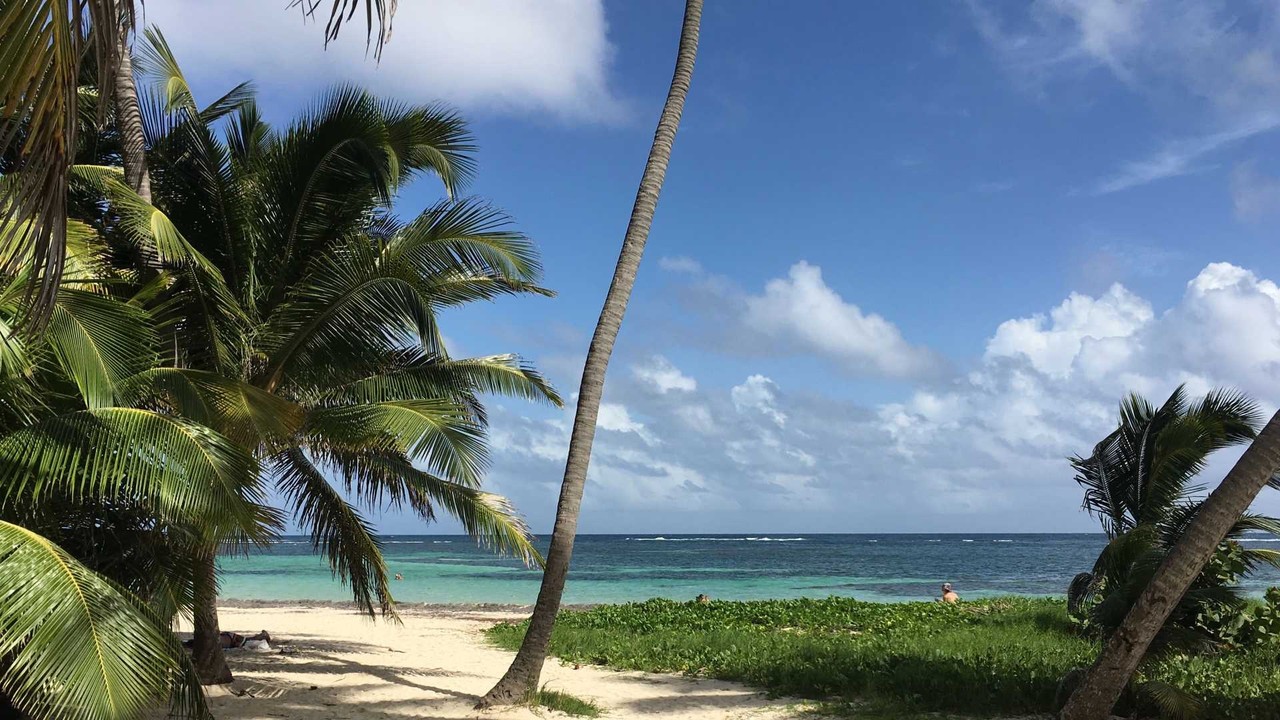 Martinique termination procedures - Professional landscape and employment guidance