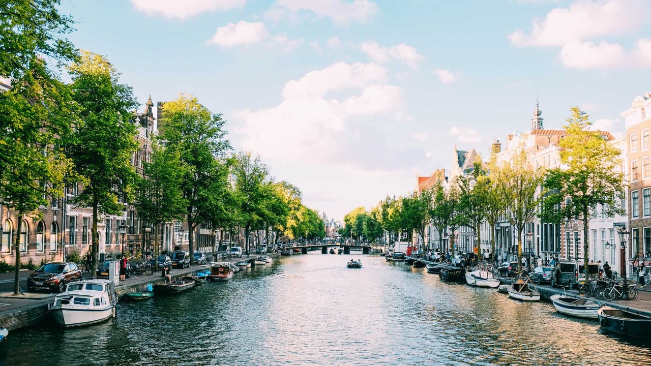 Netherlands remote work regulations - Professional landscape and employment guidance