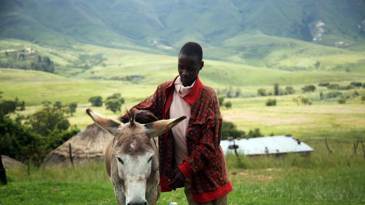 Lesotho landscape