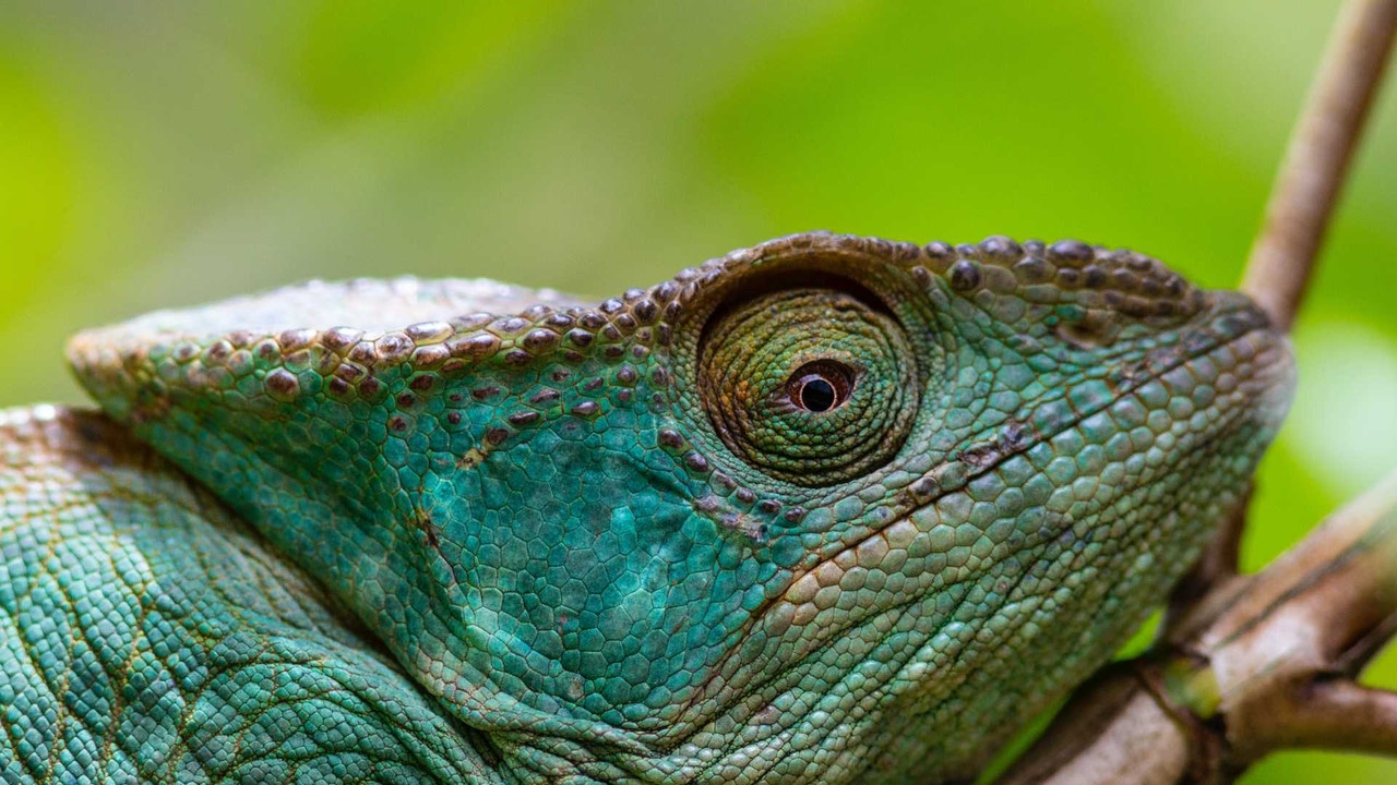 Madagascar landscape