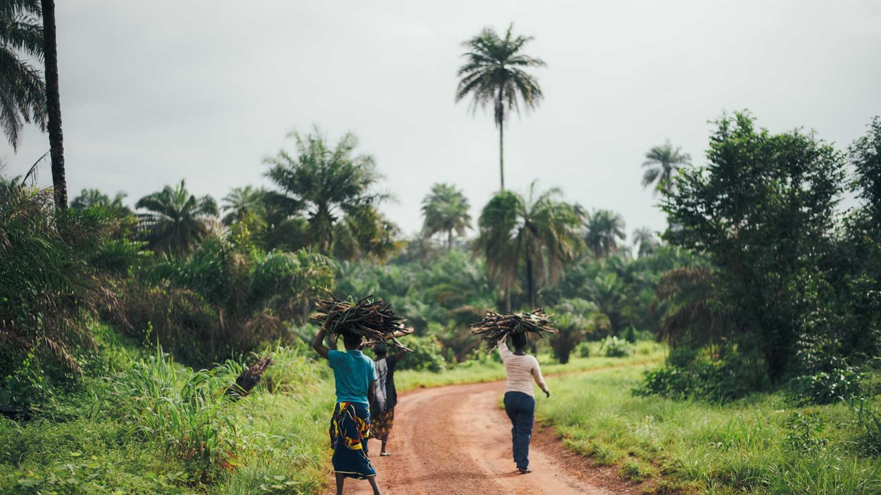Sierra Leone landscape