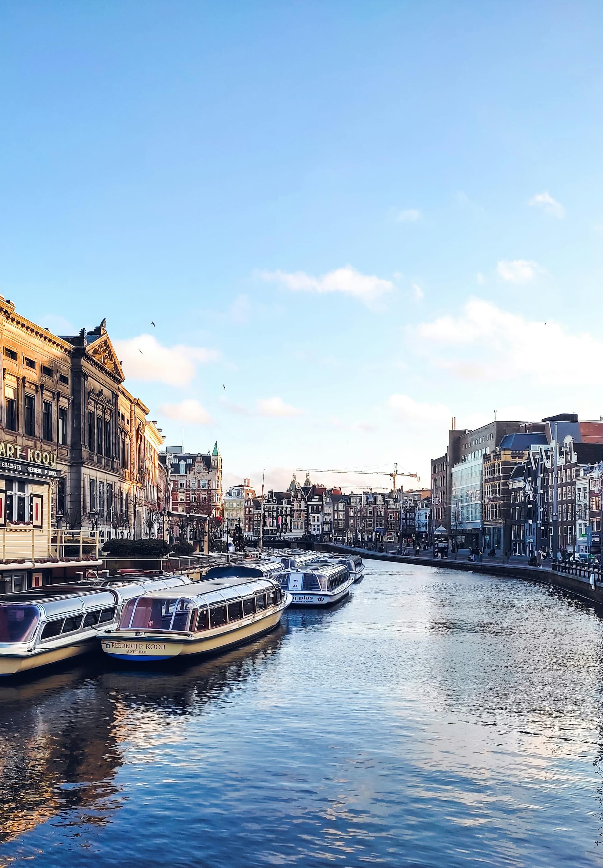 Rivermate | Exploring Dutch Work Culture and Employment Practices
